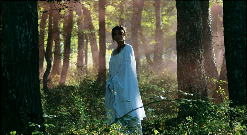 DANTE, IN SUA PRESENZA Vostra parola disïata vola